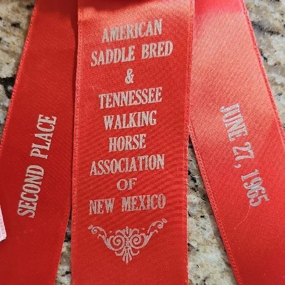 3 Vintage 1965 American Saddle Bred Tennessee Walker horse show rosettes ribbons - Picture 8 of 14